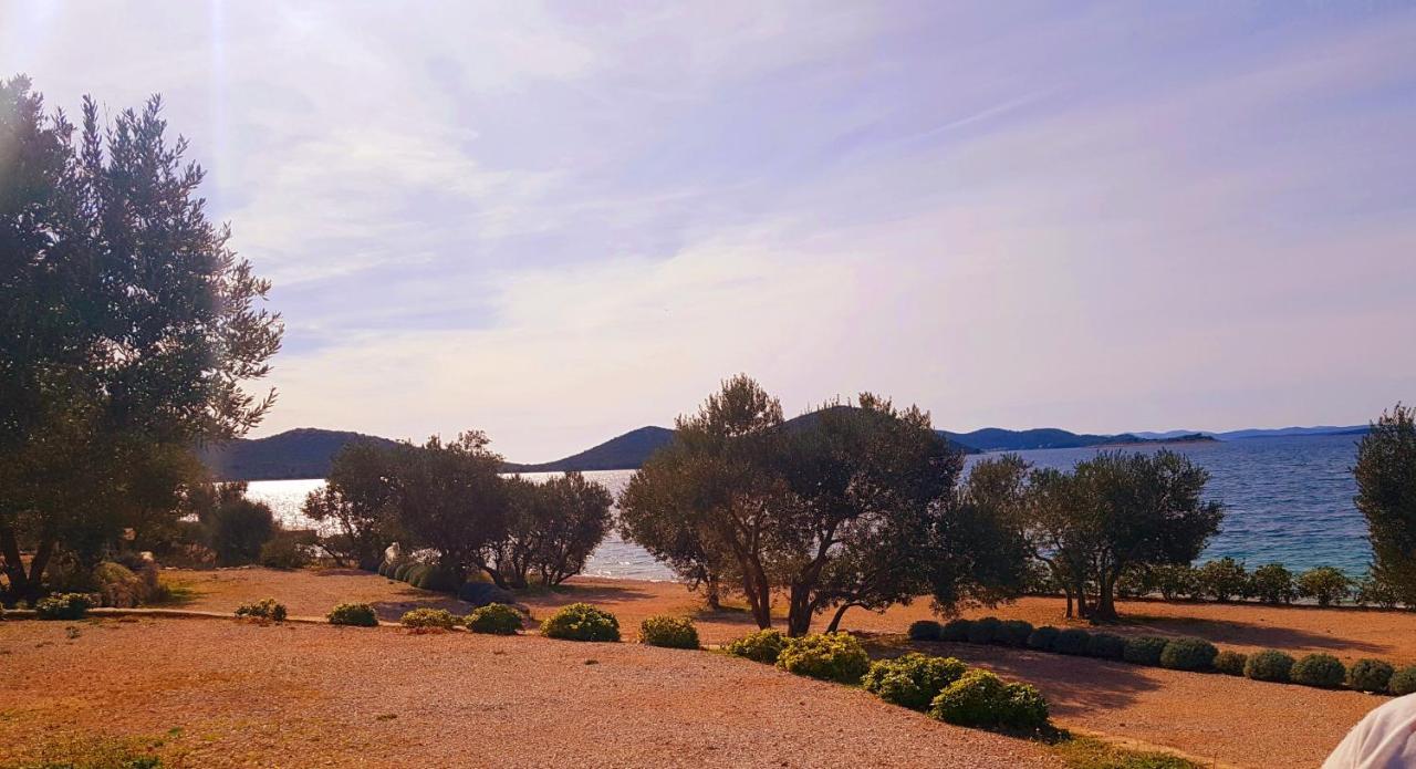Eden Lady Mobile Home, Croatia, דראגה מראה חיצוני תמונה