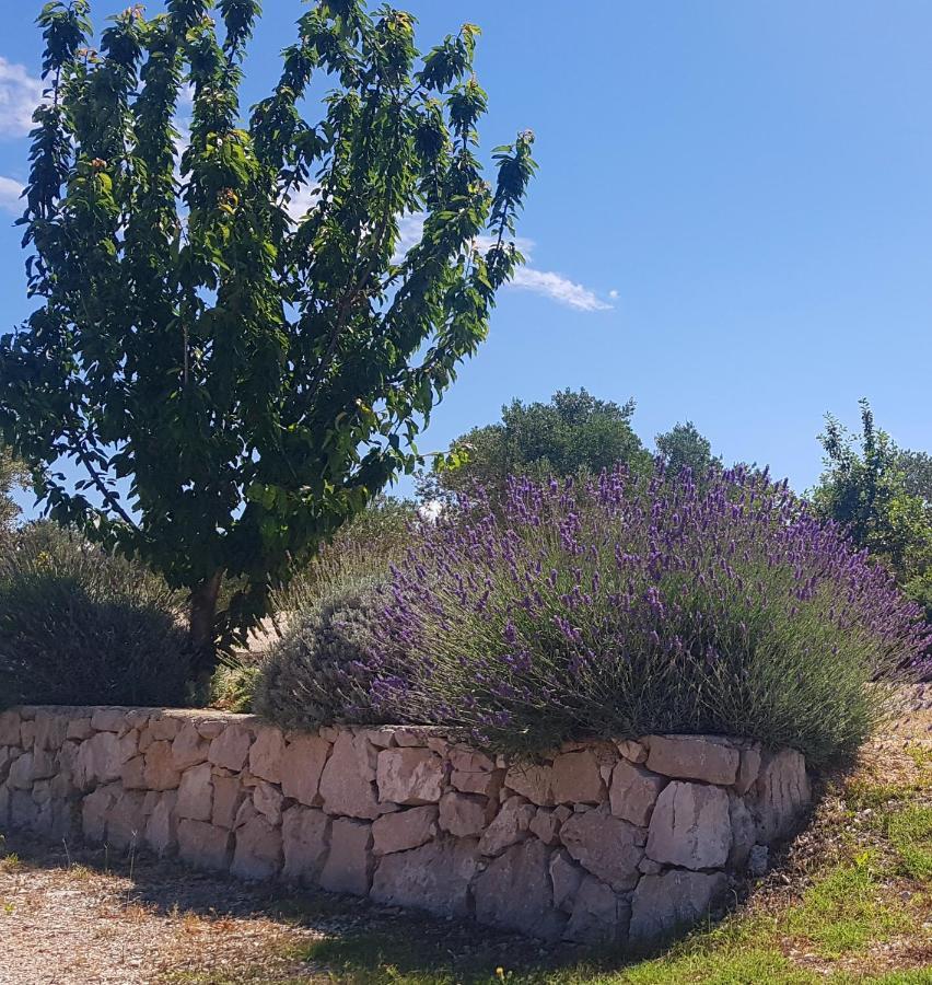 Eden Lady Mobile Home, Croatia, דראגה מראה חיצוני תמונה