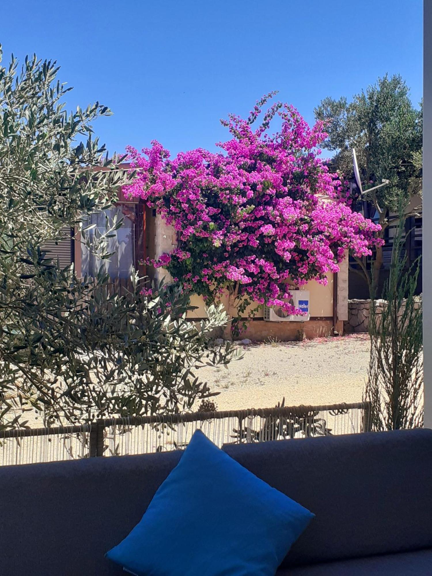 Eden Lady Mobile Home, Croatia, דראגה מראה חיצוני תמונה